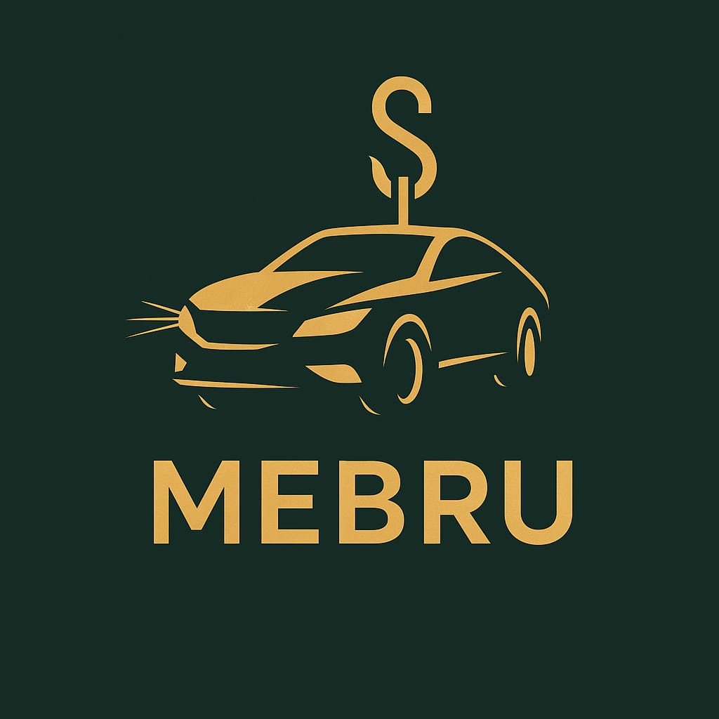 MEBRU Logo